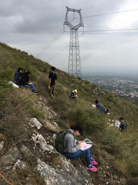 图片5.jpg 图片5.jpg